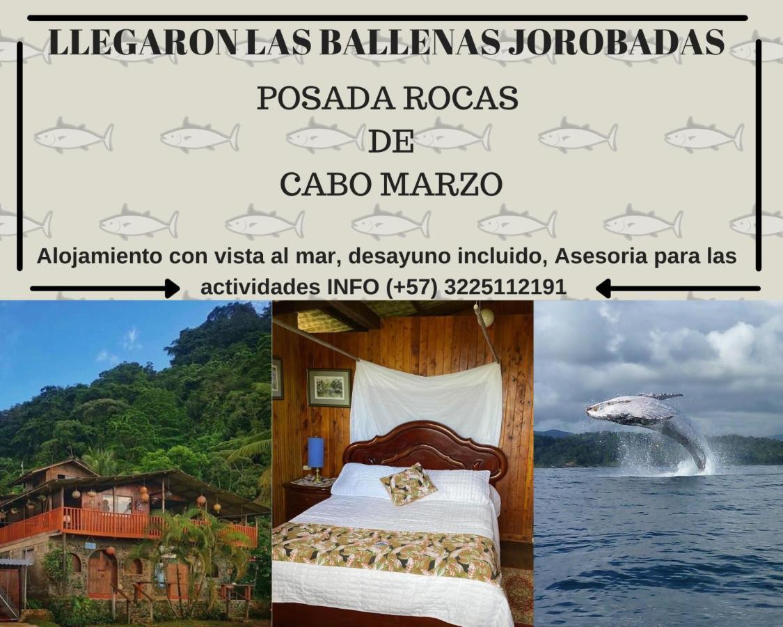 Posada Turistica Rocas De Cabo Marzo Bahia Solano Exterior photo