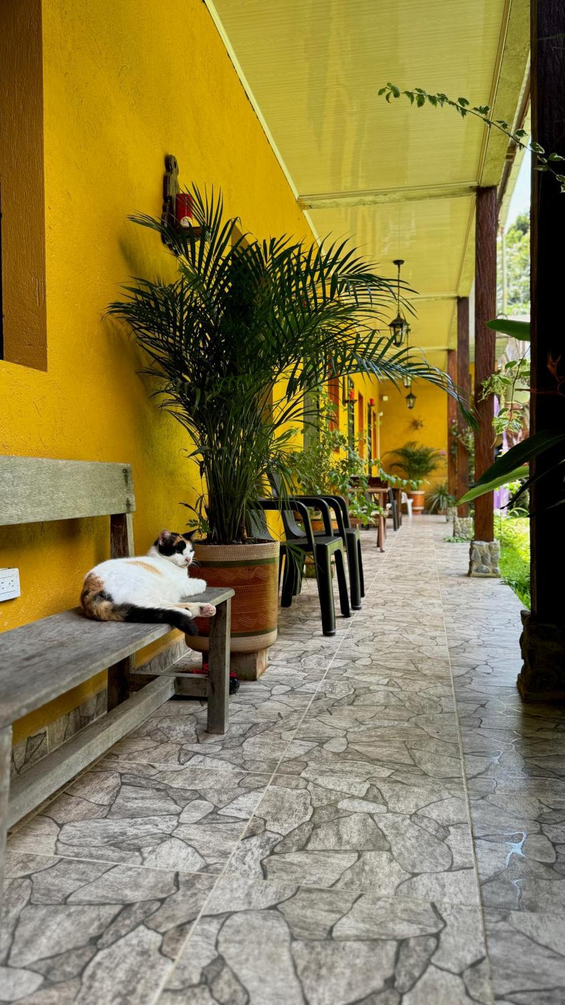 Posada Turistica Rocas De Cabo Marzo Bahia Solano Exterior photo